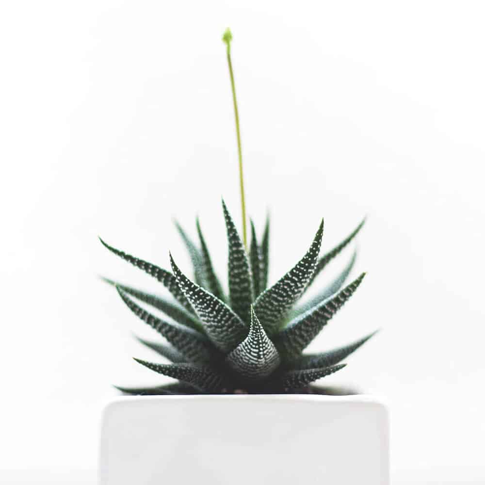 At vero eos et accusamus